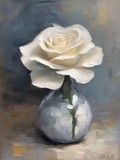 by Mihaela B