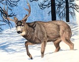 by Gayle Taylor