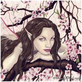 by Rebecca Sinz