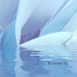 by Anne Vis