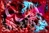 by Nira Dabush