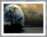 by Patrik