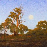 by Michael Hodgkins