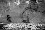 by mihail uss