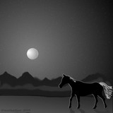 by Scott Martin