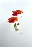 by Derek Murray
