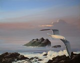 by Pieter Van Tonder