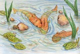 by Rhonda Shereck