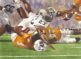 by Gerard Johnson II