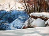 by Lynne Chrapliwy
