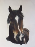 by Kate Doran
