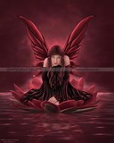 by Rachael Tallamy