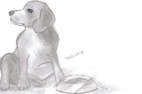 by Aleda While