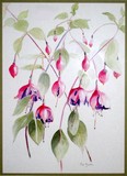by P Preston