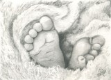 by Tracey  Riedel