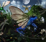 by Sandy Wiech