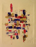 by amira el-fohail