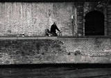 by Nikolay Semyonov