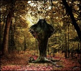 by Erik C. Omtvedt