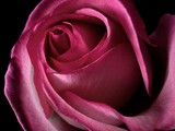 by Greg Summers