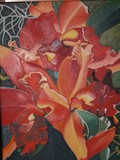 by Sandy Dewar