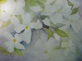 by Carol Lincker