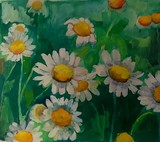 by Shakeh Sarookhanian