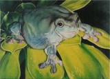 by Barbara Keith