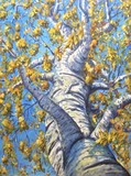 by Scott Niemi