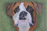 by charlene hatch