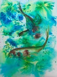 by jill madgwick