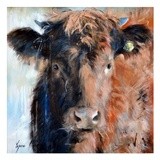 by Lynne Davies