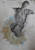 by Anna  Girgis