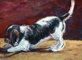 by Joan  Wulff