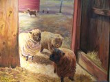 by Joan  Wulff