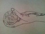 by Makayla Huskey