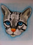 by judie cole