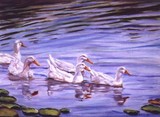 by Brenda Hofreiter