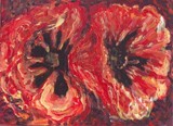 by Mary Sedici