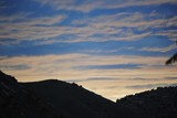 by Debra Kott