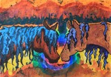 by Sharla Derry