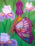 by Oxaya C lofgreen