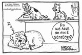 by BOW WOWS & MEOWS