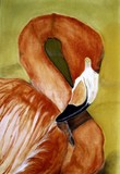 by David Scott