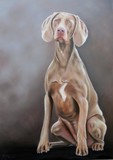 by Hannie Staat
