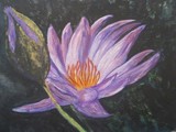 by margaret laws