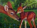 by Anne Venier