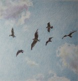 by Dace Youngblood