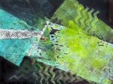 by mary ann coonrod
