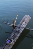 by Photo Nyimyowai